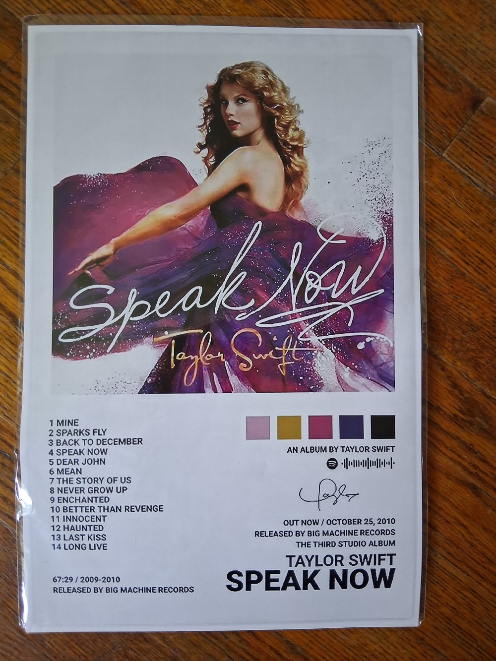 Taylor Swift Speak Now Album Cover Art Poster 11×17
